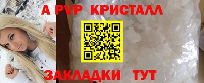 стаф Лесосибирск