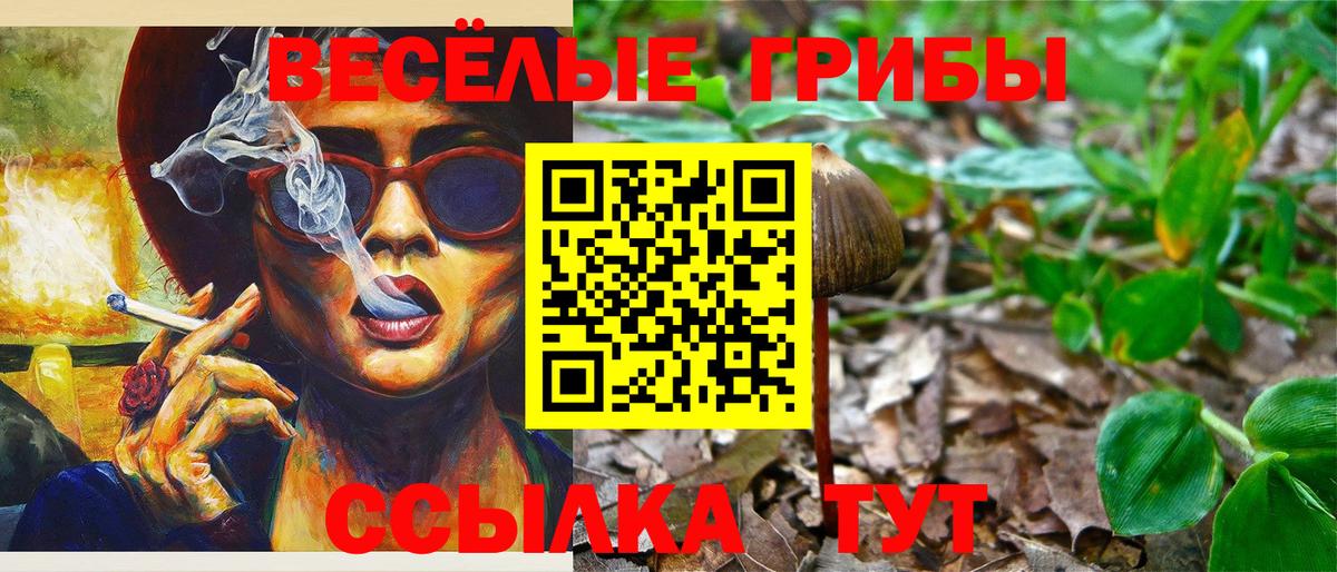 Псилоцибиновые грибы GOLDEN TEACHER Элиста