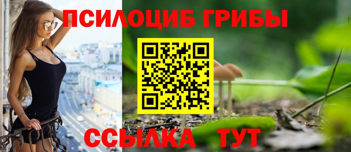 Галлюциногенные грибы мухоморы  Вход с VPN  Элиста 